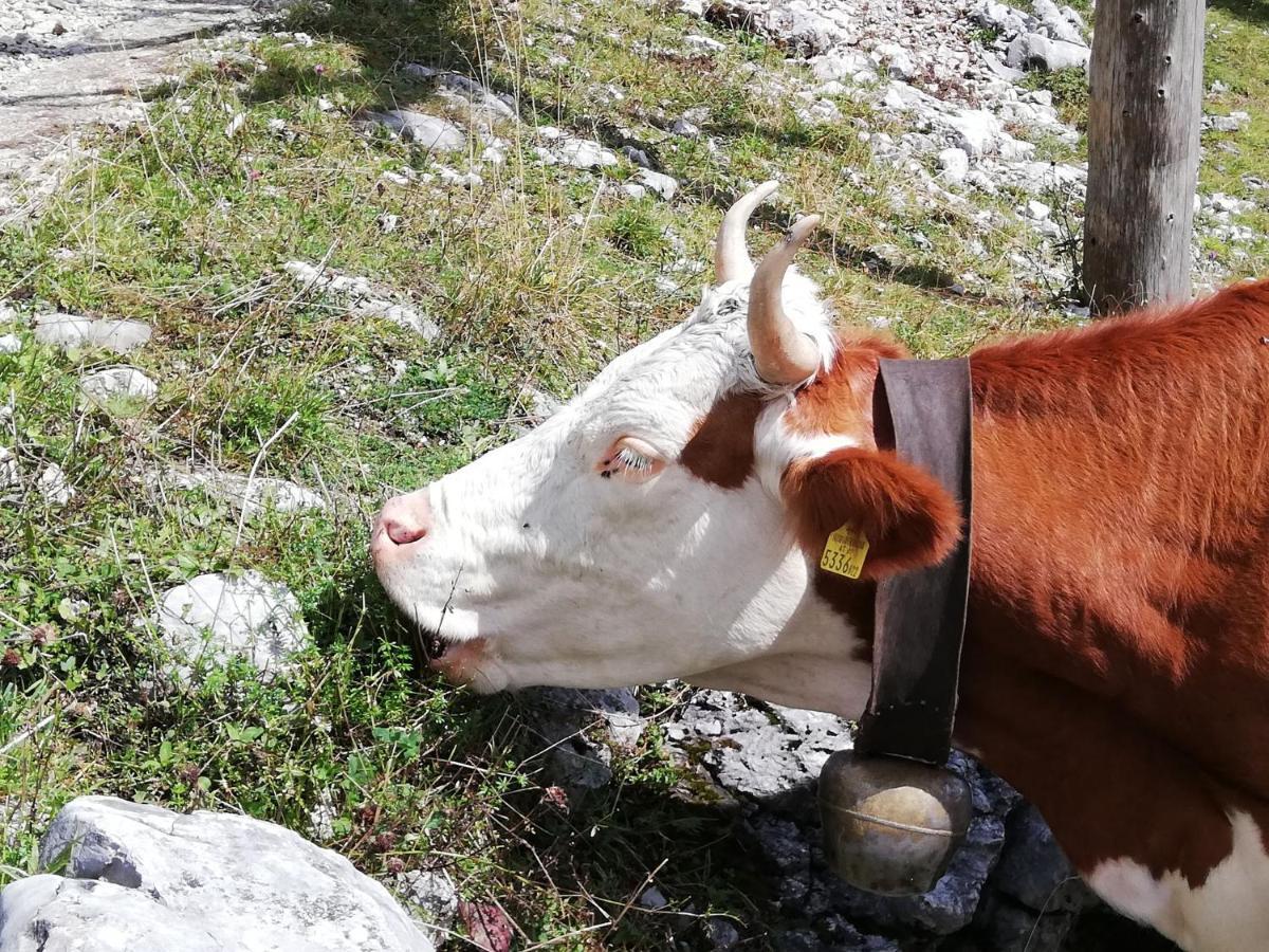 Gauertalhaus - Vollspora Willa Tschagguns Zewnętrze zdjęcie